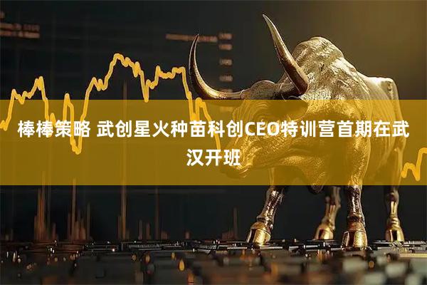 棒棒策略 武创星火种苗科创CEO特训营首期在武汉开班