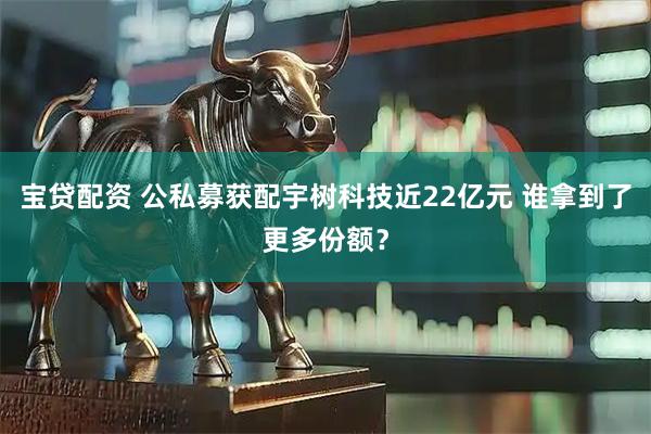 宝贷配资 公私募获配宇树科技近22亿元 谁拿到了更多份额？
